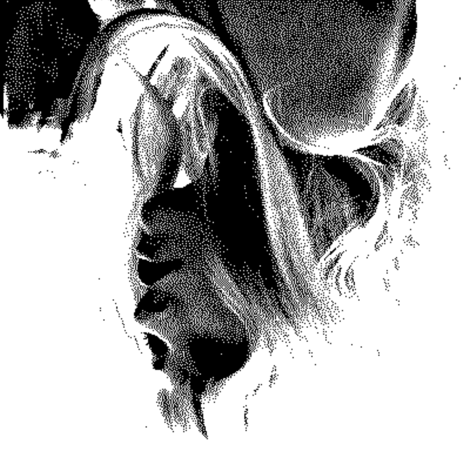 3 ½ veroniky