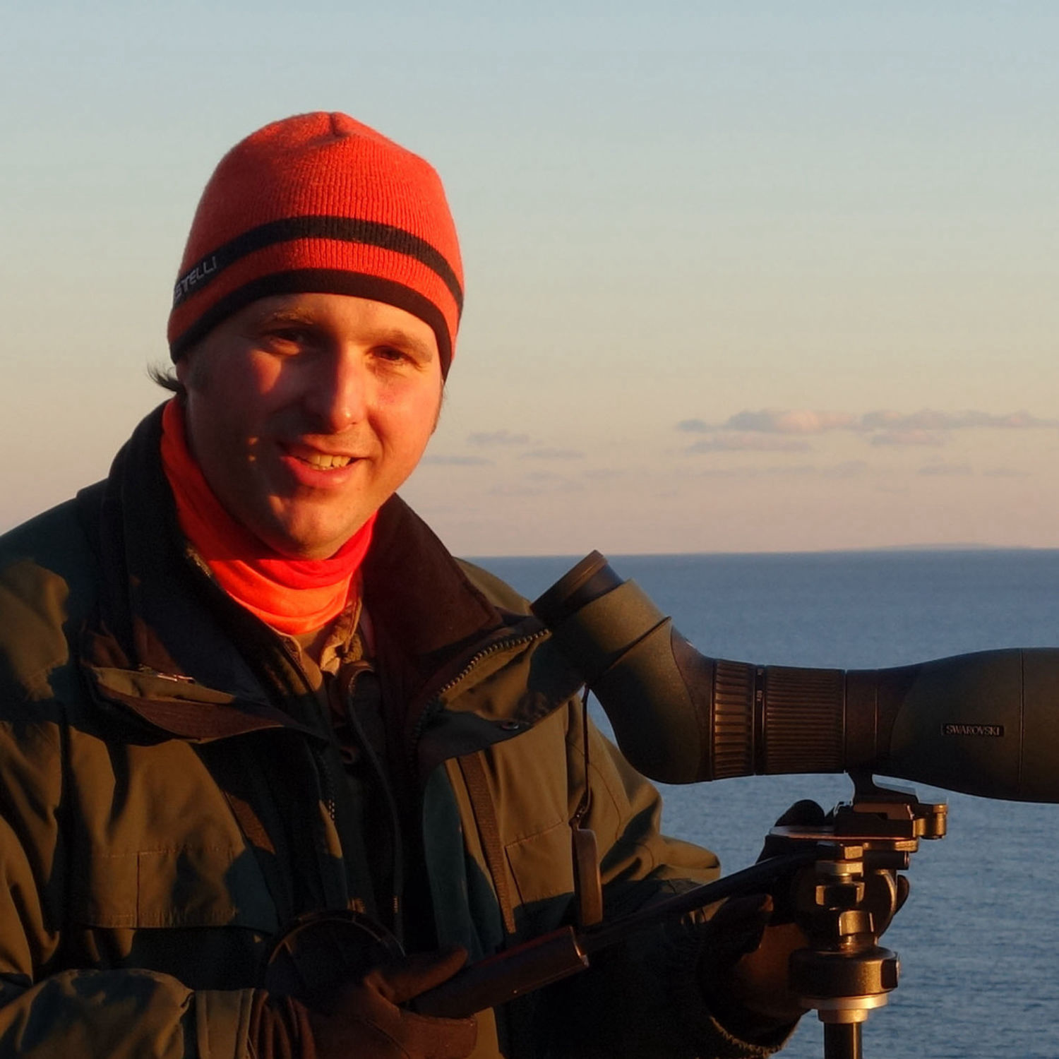 The Hawkward Birder