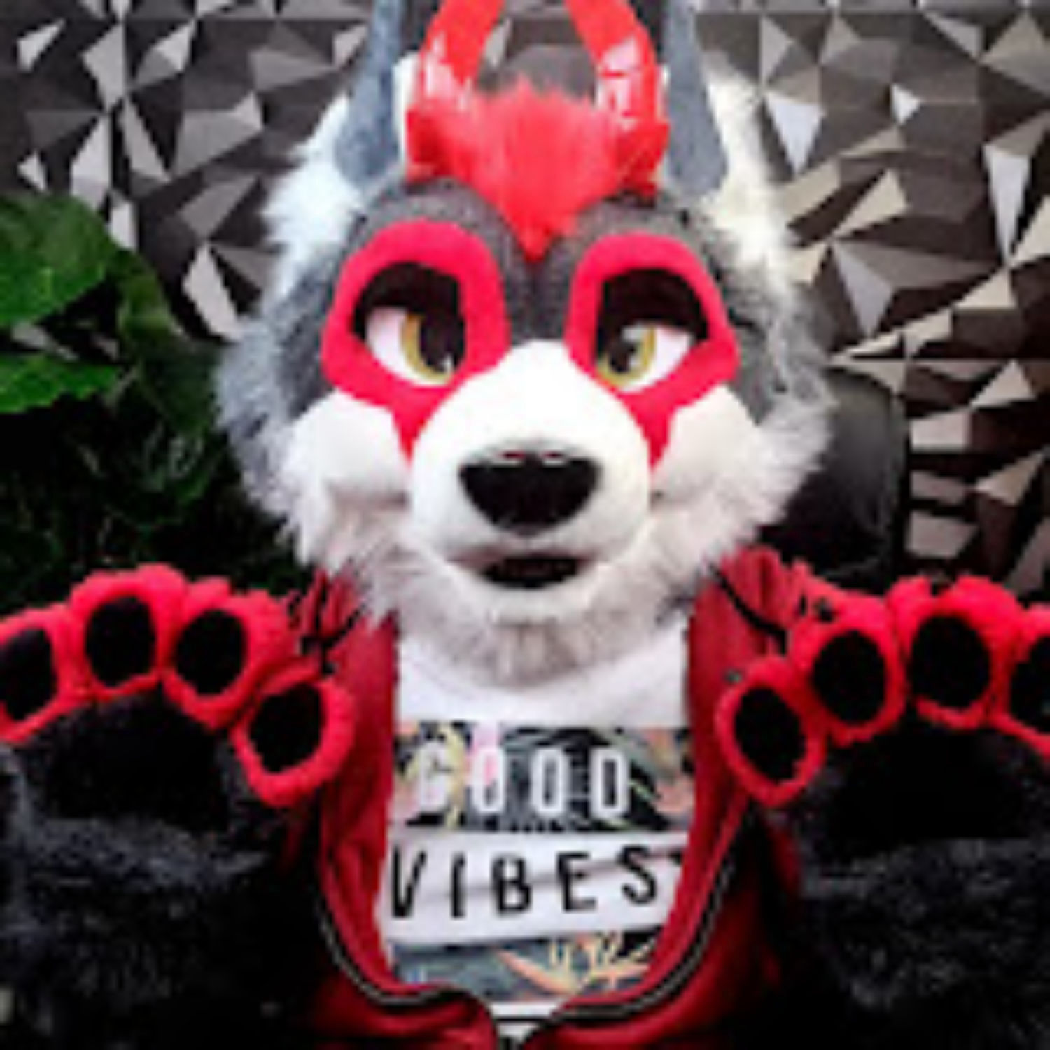 Zaroski Wolf's Channel