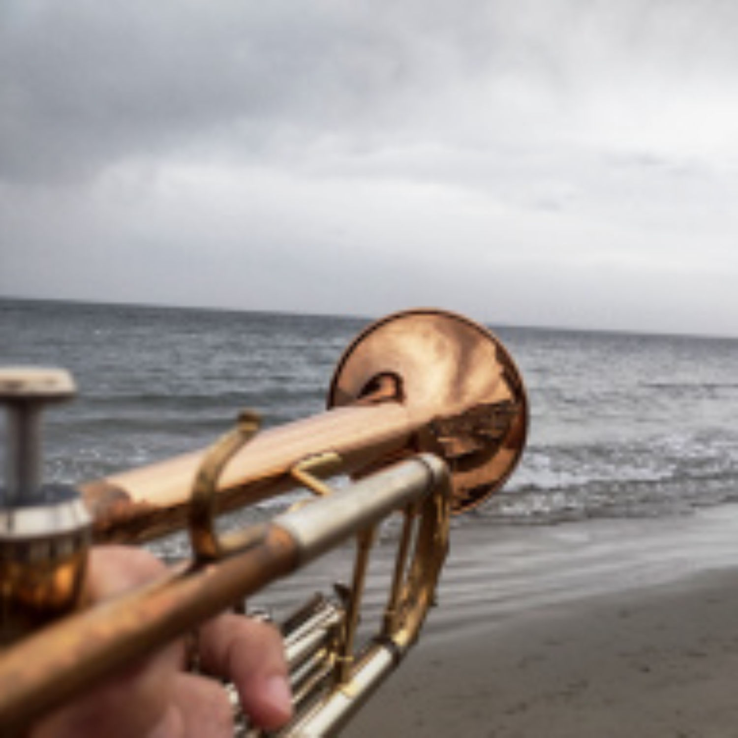 Trumpet Plays