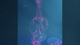 veilroot1