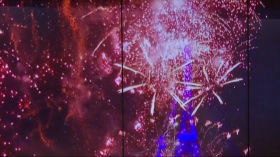 Risque d'incendies, pollution : quelles alternatives aux feux d'artifice du 14 juillet ?