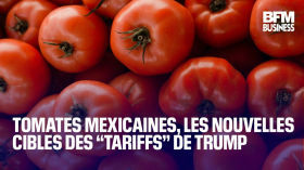 Tomates mexicaines, les nouvelles cibles des ‘‘tariffs’’ de Trump