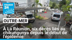 À La Réunion, six décès liés au chikungunya depuis le début de l'épidémie au mois de janvier