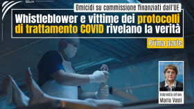 Avvocatessa Maria Vasii con testimoni: oltre 400 miliardi di euro per omicidio su commissione e riciclaggio di denaro