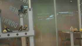 Parrot café