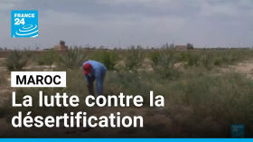 Maroc : les agriculteurs luttent contre la désertification croissante • FRANCE 24