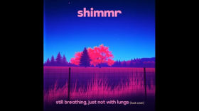 shimmr - still breathing, just not with lungs (husk cover) visualizer
