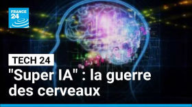 "Super IA" : des chercheurs payés jusqu'à 300 millions de dollars ! • FRANCE 24