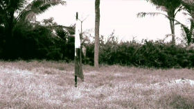 Sista Sony Gayana ( Clip HD )