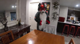 Furry Paw & Order :3