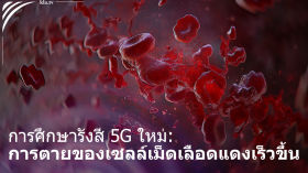 เซลล์เม็ดเลือดแดงได้รับความเสียหายอย่างรุนแรงจากรังสี 5G (การศึกษาใหม่)