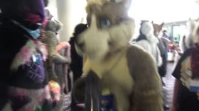 Claws & Stripes #9 FURDU 2018 Video