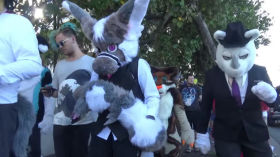 Claws & Stripes #7 FURDU Fursuit Walk 2018