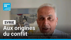 Syrie : les tensions entre Bédouins et Druzes "ne sont pas nouvelles" • FRANCE 24