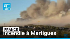France : l'incendie de Martigues toujours pas maîtrisé, encore 600 pompiers engagés • FRANCE 24