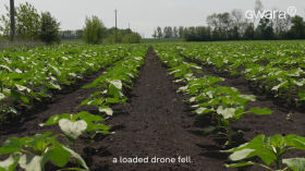 How farmers deal with FPV-drone attacks in the border Kharkiv region | Gwara Media