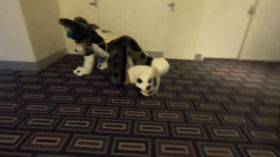 Furdu Vlog Day 1 Part 2