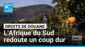Droits de douane : l’Afrique du Sud redoute un coup dur pour son secteur agricole • FRANCE 24