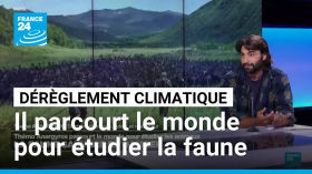 Faune sauvage en danger : Thémo Anargyros parcourt le monde pour étudier les animaux • FRANCE 24