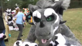 Claws & Stripes #6 Confurgence 2018 Video