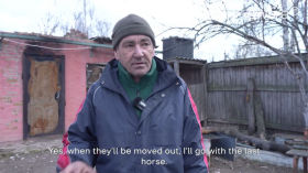Born under fire: volunteers race to save pregnant horses near Ukraine’s frontline | GWARA Media