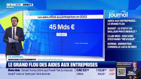 Le grand flou des aides aux entreprises