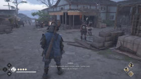 Assassin's Creed Shadows - TEST EN CARTON