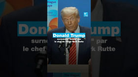 Donald Trump surnommé "daddy" par le chef de l'Otan Mark Rutte • FRANCE 24