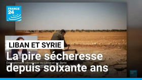 Liban et Syrie : la pire sécheresse depuis soixante ans • FRANCE 24